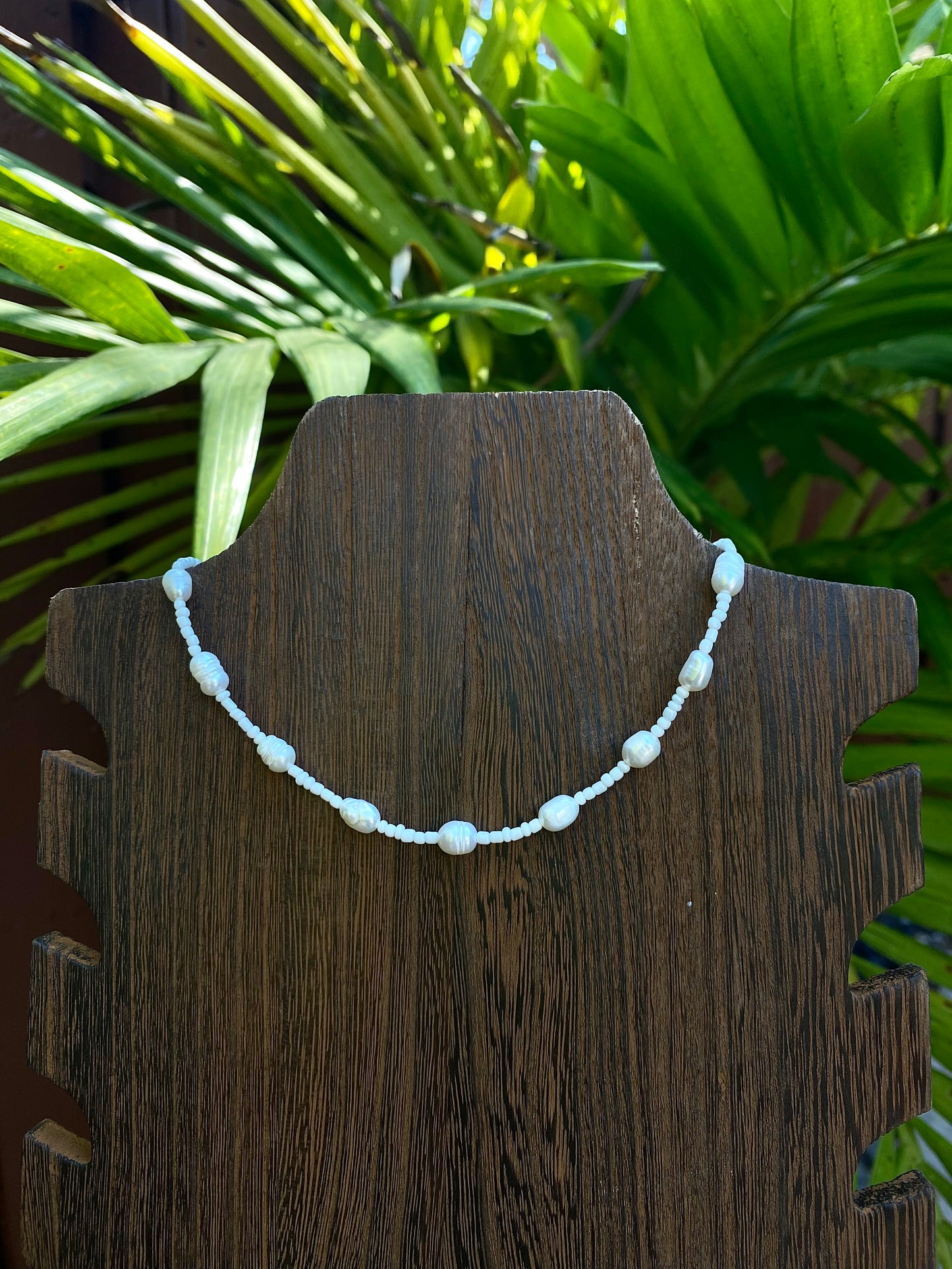 Coconut choker