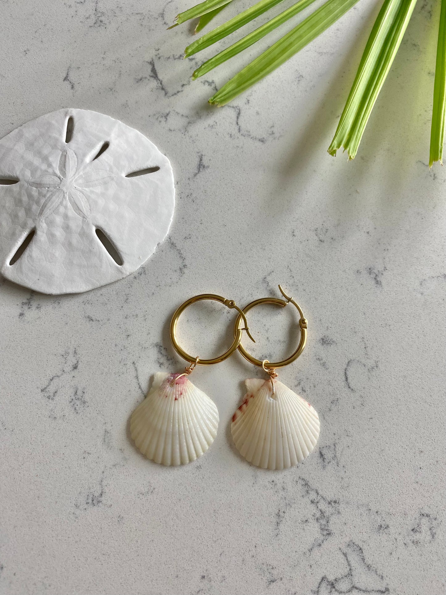 Calico Shell Earrings