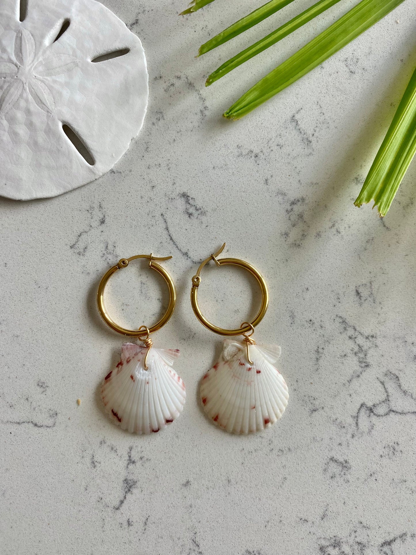 Calico Shell Earrings