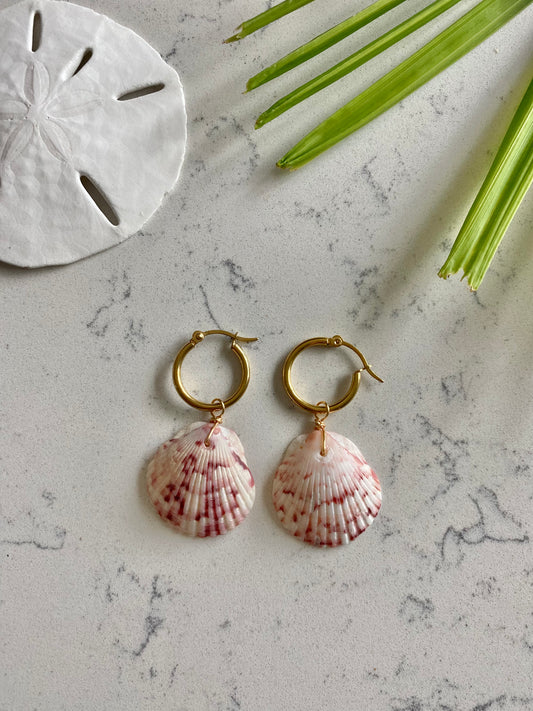 Calico Shell Earrings