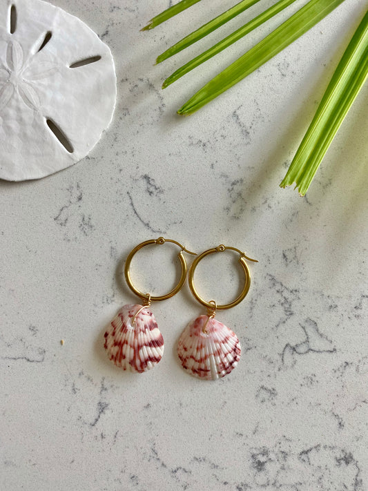 Calico Shell Earrings