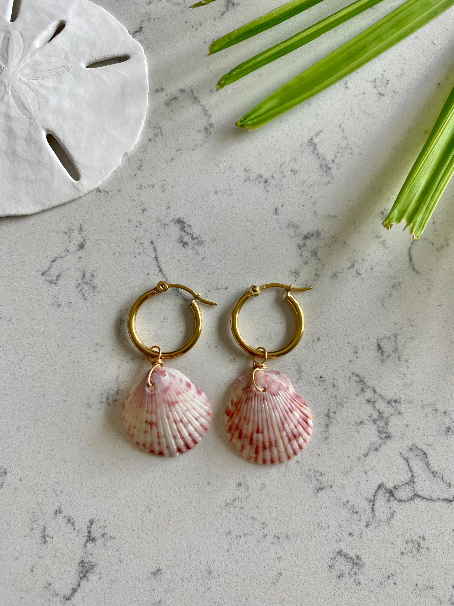 Calico Shell Earrings