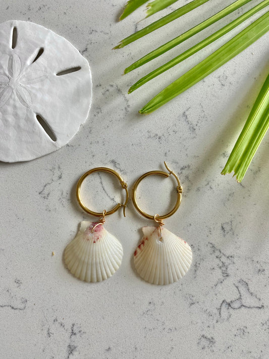 Calico Shell Earrings