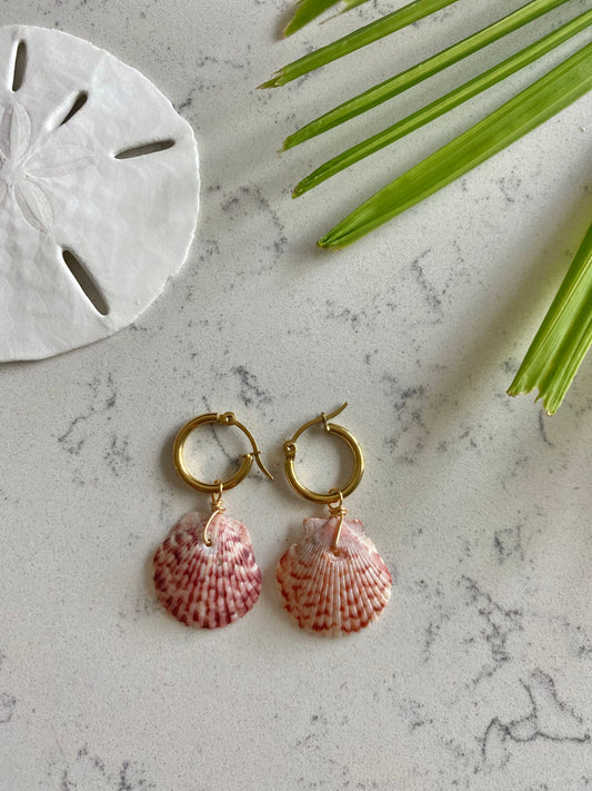 Calico Shell Earrings