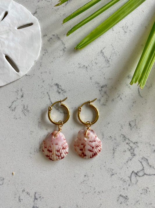 Calico Shell Earrings