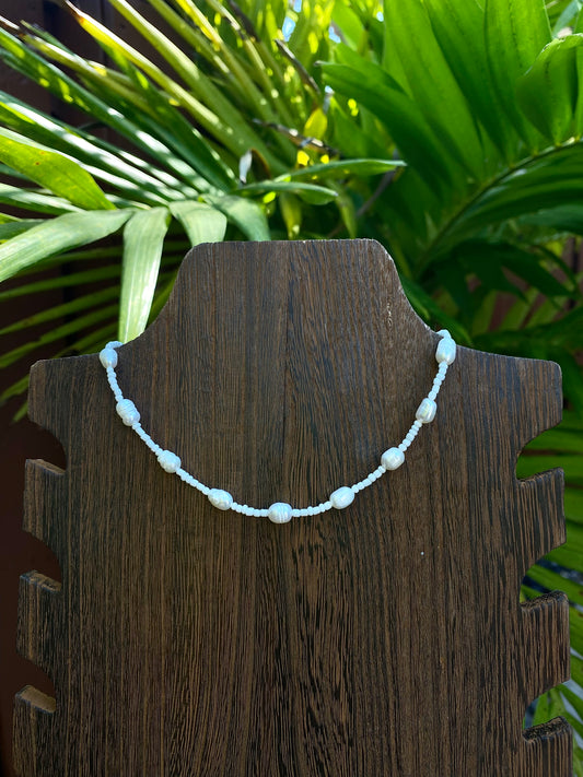 Coconut choker