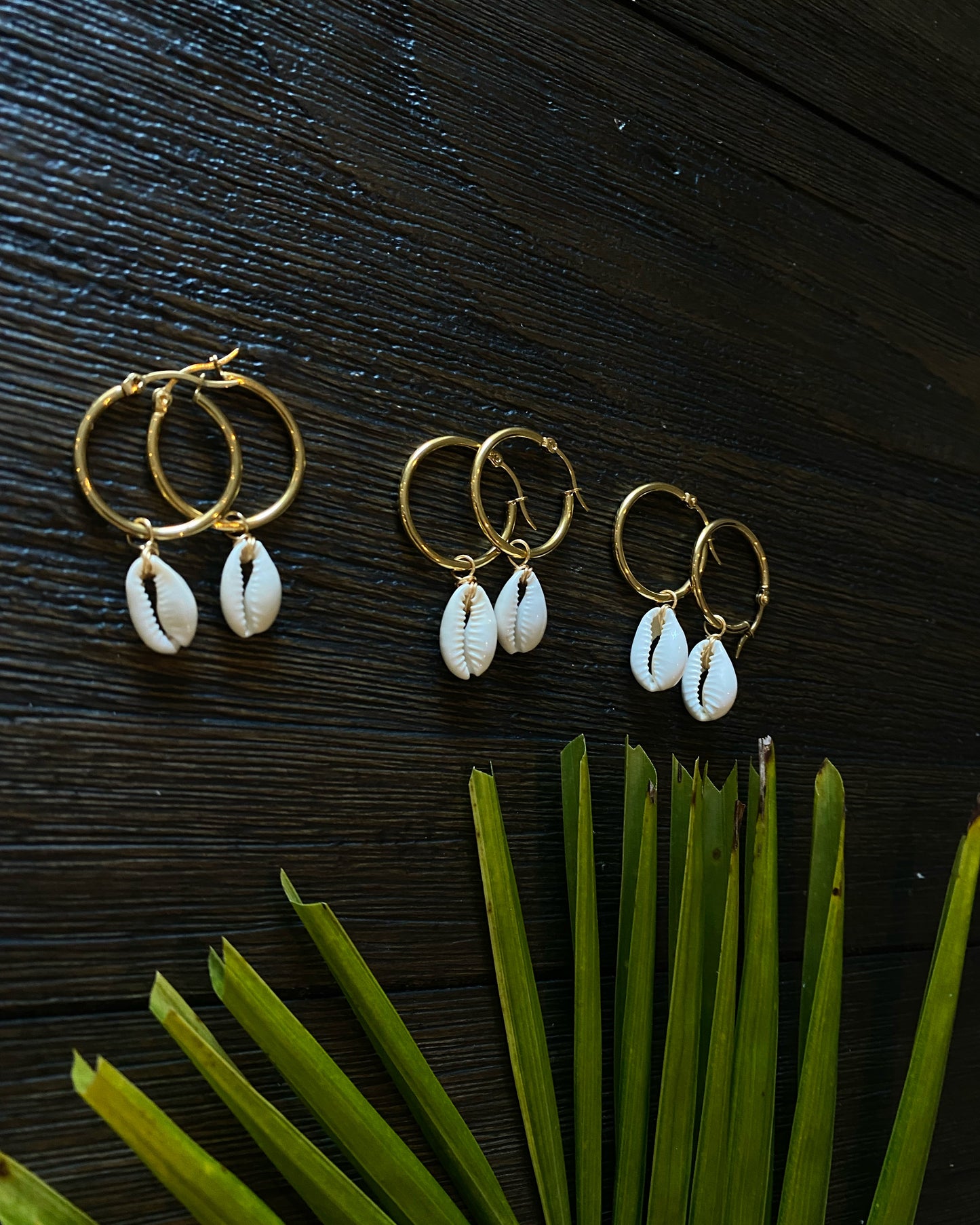 Cowrie Earrings